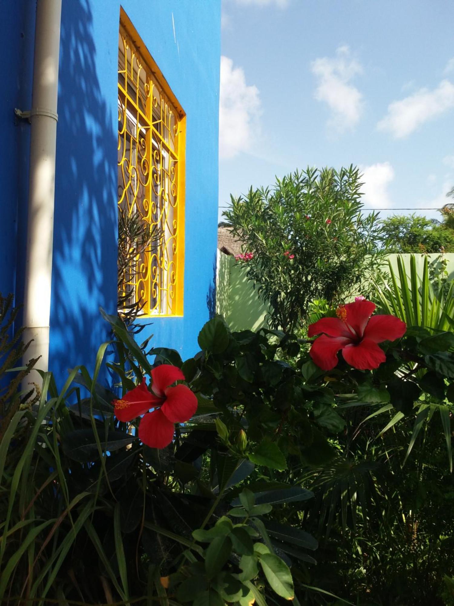 La Locanda Lodge - Apartment, 4 Double Rooms & Kitchen Near The Beach Jambiani  Exterior foto